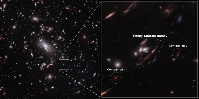 ภาพขยายตำแหน่งของกาแล็กซีเก่าแก่ที่มีชือเล่นเรียกกันว่า Firefly Sparkle โดยจะเห็นได้ว่าภาพของกาแลกซี่นั้นบิดเบี้ยวอันเนื่องมาจากปรากฏการณ์เลนส์ความโน้มถ่วง