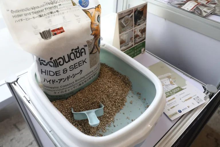 ทรายแมว HIDE & SEEK