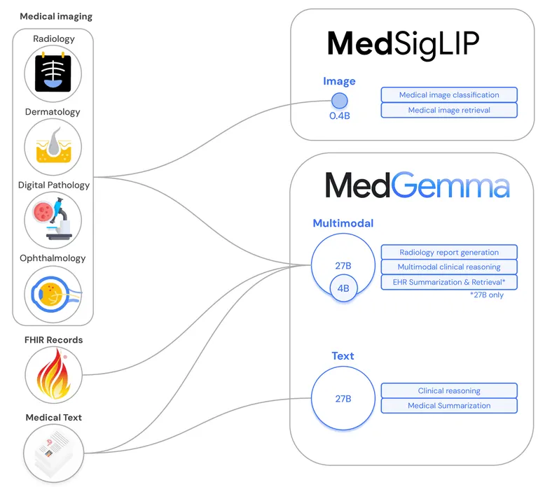 แผนผังของโมเดล MedGemma ทั้งตัว MedGemma และ MedSigLIP ที่เพิ่งเปิดตัวมาใหม่ ภาพจาก Google