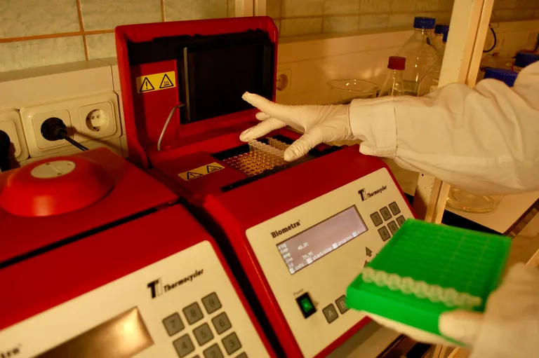 หลอด PCR ขณะกำลังถูกใส่เข้าไปในเครื่อง PCR Thermocycler