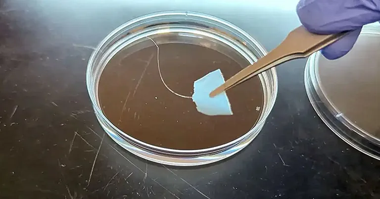 สิ่งทอโปรตีนสังเคราะห์ ย่อยสลายและนำกลับมาใช้ใหม่ได้