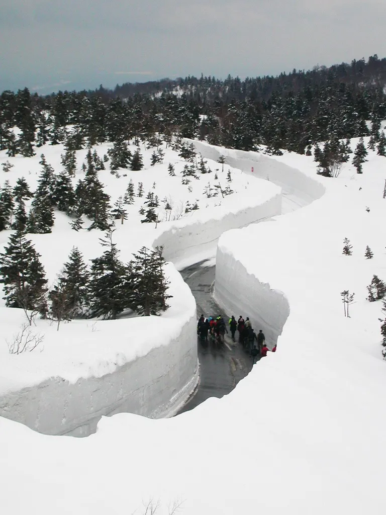 ภาพกำแพงหิมะเกิดจากการเก็บกวาดหิมะจากบนถนนในจังหวัดอะโอะโมริ ภาพจาก Søren Storm Hansen