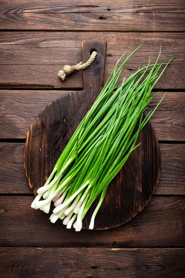 ต้นหอม Spring Onion