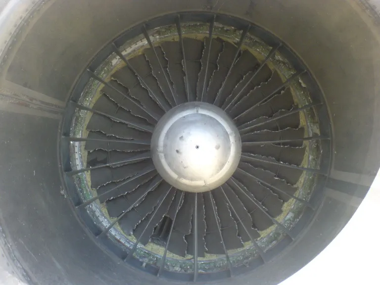 เครื่องยนต์ Turbofan JT8D หลังชนเข้ากับนก แสดงให้เห็นใบพัดของเครื่องยนต์ที่แตกหักแทบทุกอัน