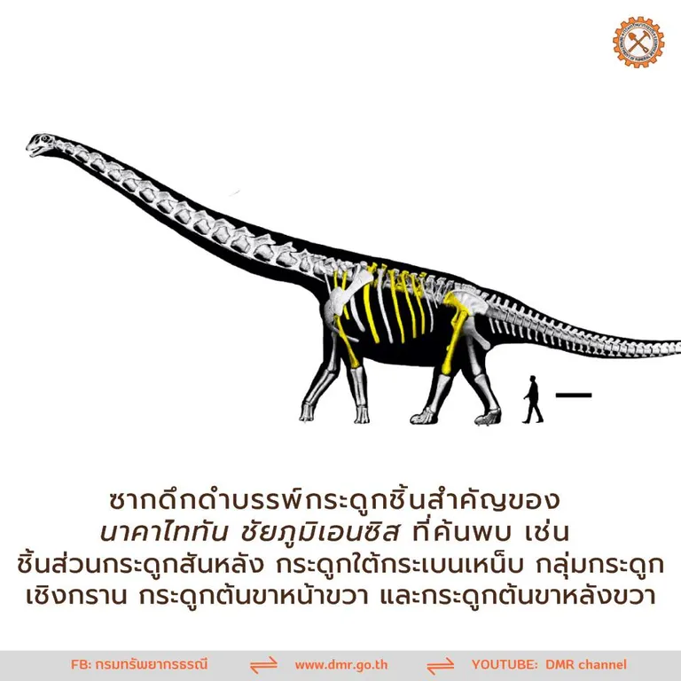 นาคาไททัน ชัยภูมิเอนซิส