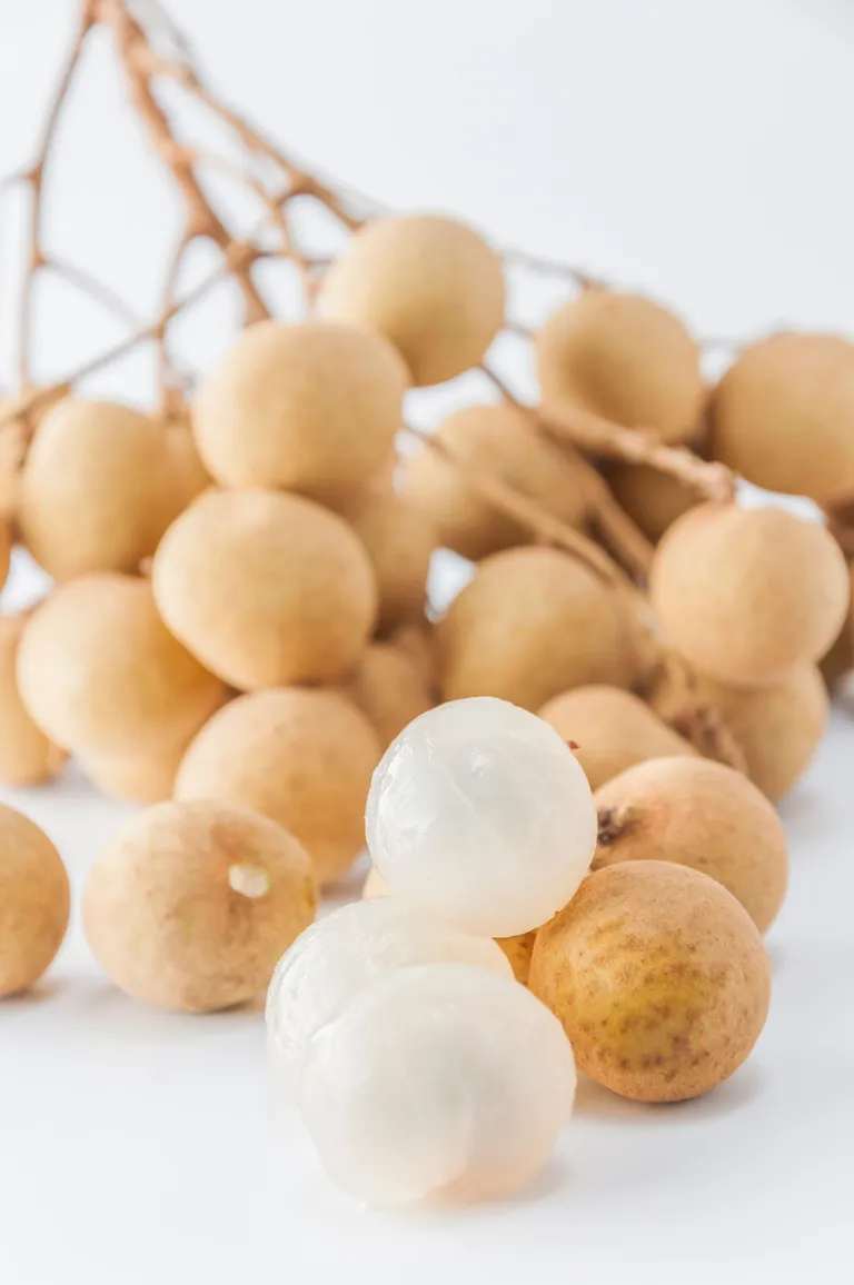 “ลำไย” (Longan)