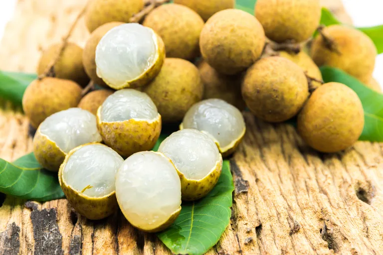 ลำไย longan ภาพจาก 123rf