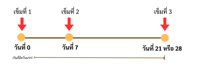 การฉีดวัคซีนป้องกันโรคล่วงหน้า (pre-exposure prophylaxis) ภาพจาก : pharmacy.mahidol