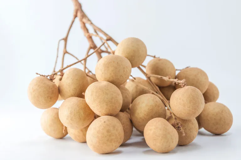 “ลำไย” (Longan)