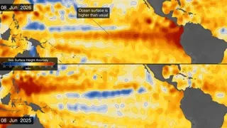 แผนที่แสดงระดับน้ำทะเลปานกลางที่สูงขึ้นจากปรากฏการณ์คลื่นเคลวินที่เกิดจากปรากฏการณ์เอลนีโญ ซึ่งส่งผลให้น้ำในมหาสมุทรแปซิฟิกสูงกว่าเมื่อปีที่แล้วอย่างมาก ภาพจาก NASA