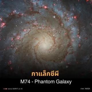 กาแล็กซีผี M74 - Phantom Galaxy