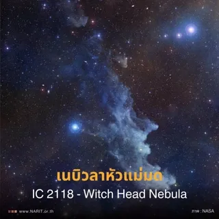 เนบิวลาหัวแม่มด IC 2118 &ndash; Witch Head Nebula