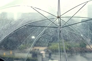กางร่มวันฝนตก