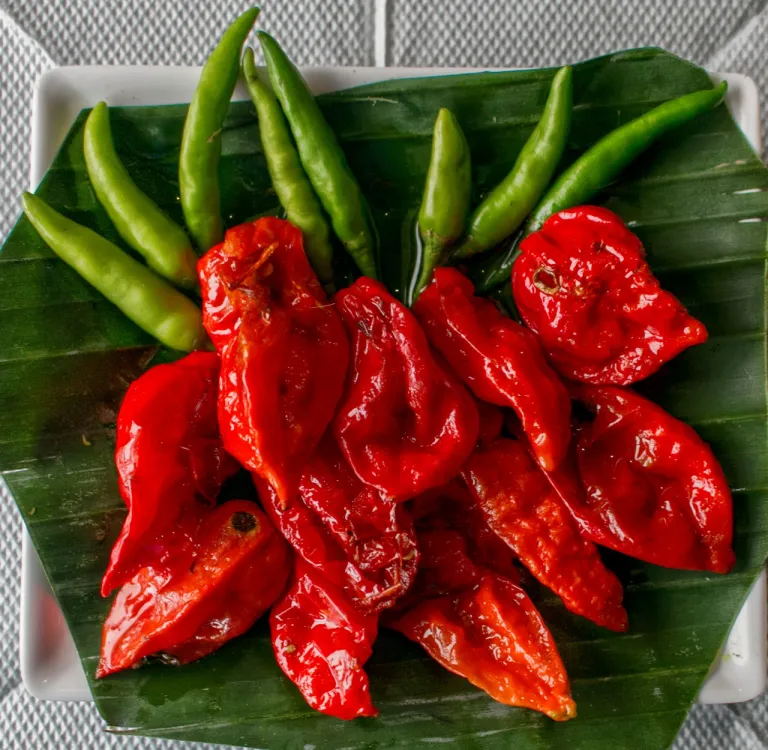 ภาพพริก Ghost Pepper (สีแดง) หนึ่งในพริกที่เผ็ดที่สุดในโลก กับพริกขี้หนูเขียว (สีเขียว)