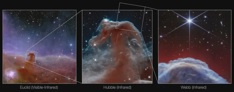 Horsehead Nebula (Euclid, Hubble and Webb Images) ภาพจาก J.-C. Cuillandre (CEA Paris-Saclay), G. Anselmi, NASA, ESA, and the Hubble Heritage Team (AURA/STScI), ESA/Webb, CSA, K. Misselt (University of Arizona), M. Zamani (ESA/Webb)