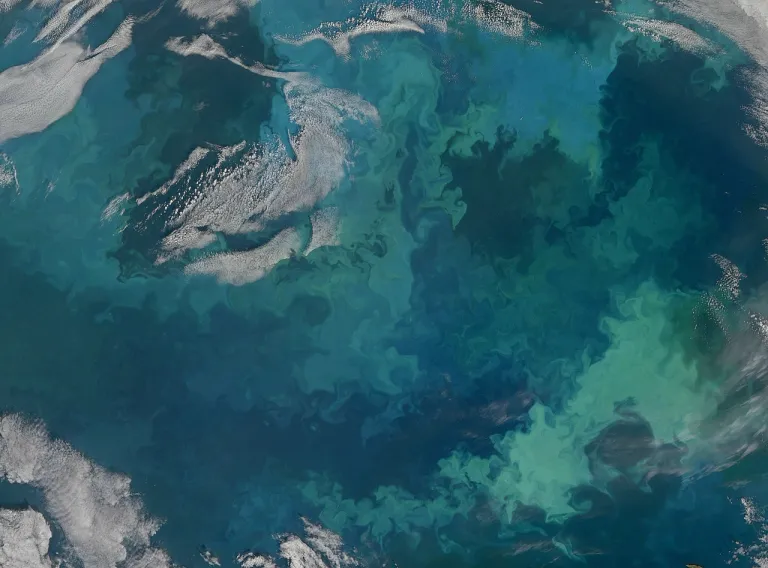 ภาพถ่ายการบลูมของแพลงก์ตอนในทะเลห์บาเรน ภาพจาก NASA