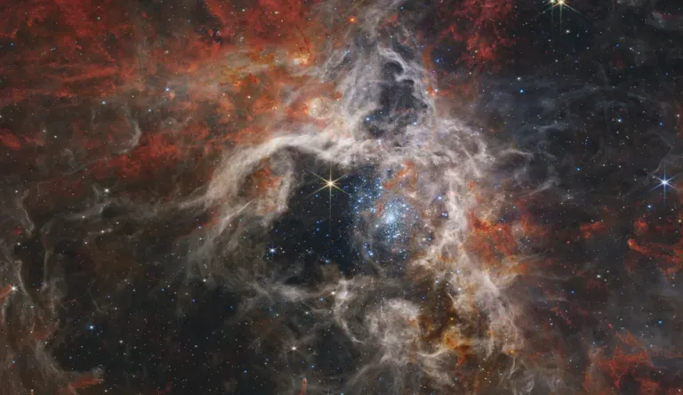 ภาพจาก : NASA, ESA, CSA, STScI, Webb ERO Production Team