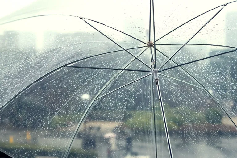 กางร่มวันฝนตก