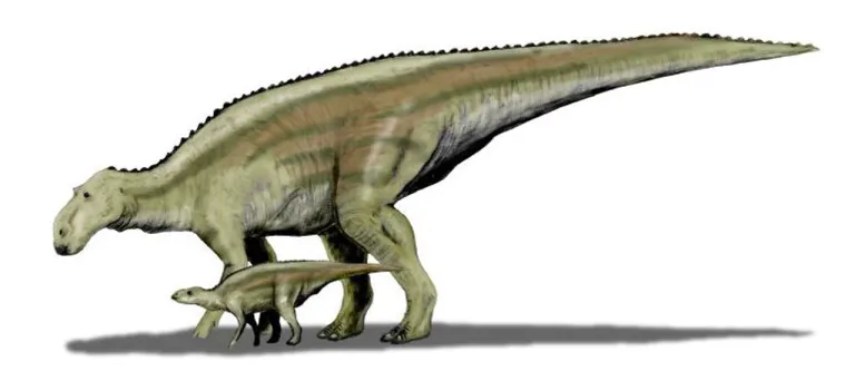 ภาพวาดของ Maiasaura peeblesorum ไดโนเสาร์ปากนกที่มีอุณหภูมิภายในร่างกายของมันสูงถึง 42ºC ภาพวาดโดย Nobu Tamura