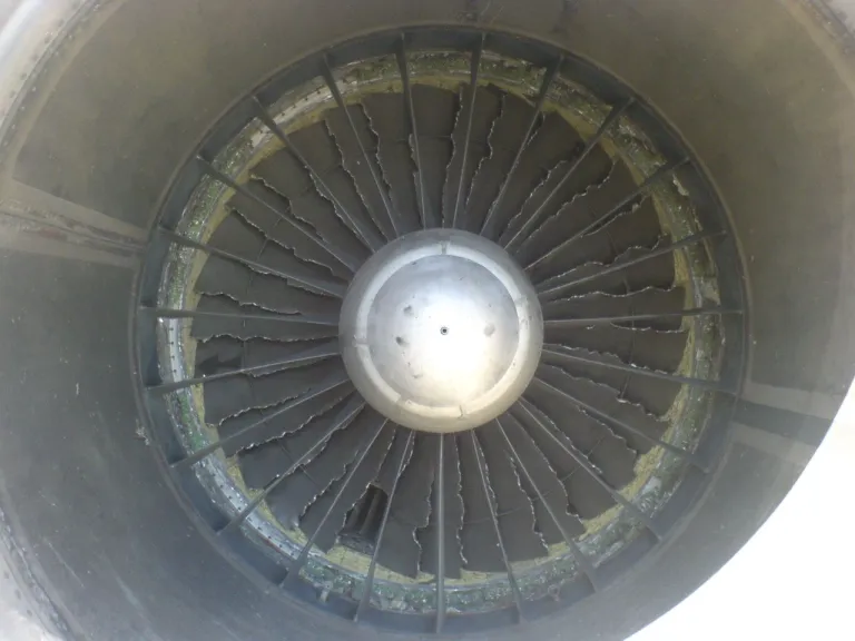 เครื่องยนต์ Turbofan JT8D หลังชนเข้ากับนก แสดงให้เห็นใบพัดของเครื่องยนต์ที่แตกหักแทบทุกอัน