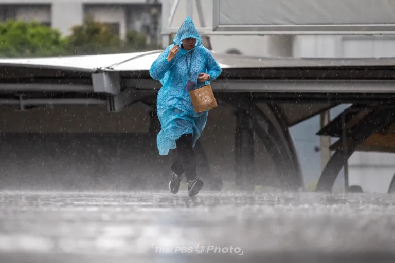 สัญญาณเตือนจากธรรมชาติ! พายุจะมา ฝนตกหนัก พวกเราเตรียม-พร้อมระวังตัว