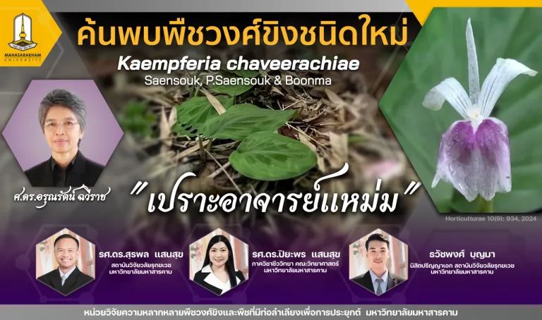 ทีมวิจัย เปราะอาจารย์แหม่ม