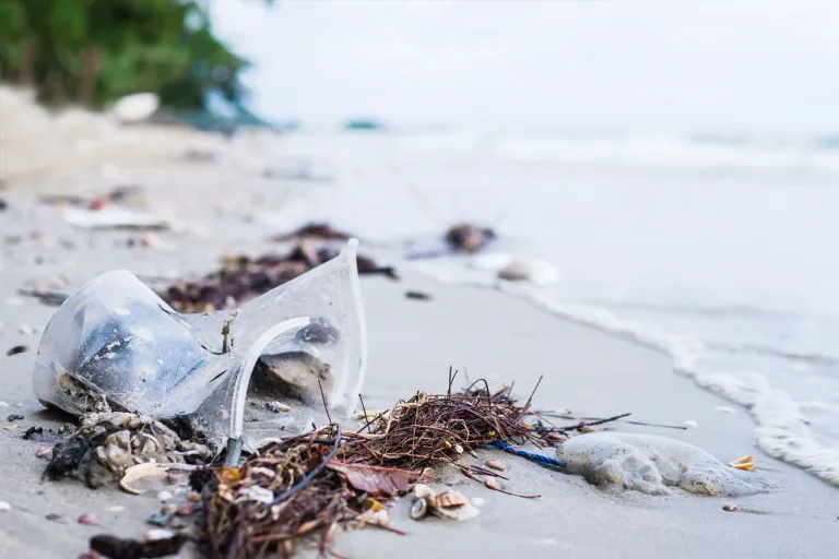trash-sand-beach-showing-environmental-pollution-problem