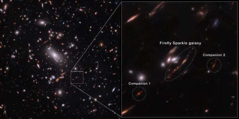 ภาพขยายตำแหน่งของกาแล็กซีเก่าแก่ที่มีชือเล่นเรียกกันว่า Firefly Sparkle โดยจะเห็นได้ว่าภาพของกาแลกซี่นั้นบิดเบี้ยวอันเนื่องมาจากปรากฏการณ์เลนส์ความโน้มถ่วง