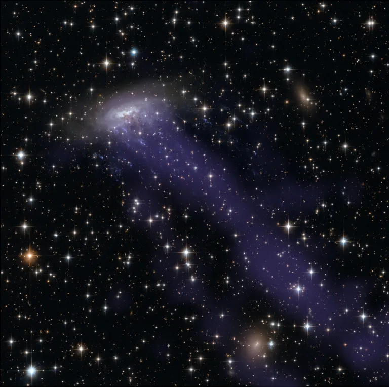 ภาพถ่ายของดาราจักรรูปแมงกะพรุน ESO 137-001 ซึ่งคาดว่าเส้นสายที่ยืดยาวออกจากอวกาศอาจเกิดจากปรากฏการณ์น้ำพุเวียนนี้ก็ได้