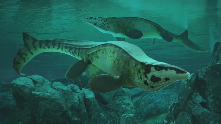 ไทโลซอรัสเร็กซ์” (Tylosaurus Rex : T-Rex) ภาพจาก Alderon Games - Path of Titans