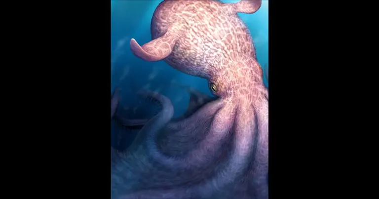ภาพจำลองของ Nanaimoteuthis haggarti หมึกยักษ์ที่ใหญ่ที่สุดเท่าที่เคยพบ ใหญ่กว่าโมซาซอร์ซึ่งอาศัยอยู่ในมหาสมุทรยุคครีเทเชียสเช่นเดียวกัน ภาพจาก Yohei Utsuki