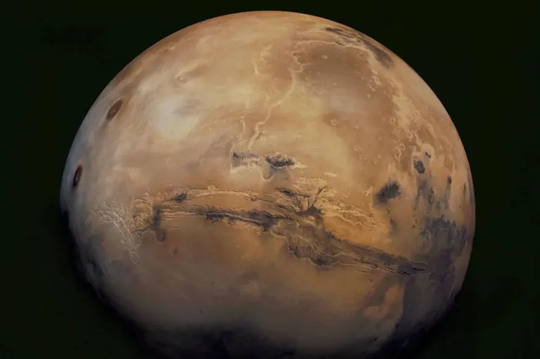 เราจำเป็นต้องศึกษาเกี่ยวกับสิ่งมีชีวิตขนาดเล็กในร่างกายเรา