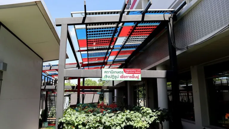 Agrivoltaics (อะกริโวลทาอิกส์) หรือ Solar sharing (โซลาร์แชร์ริง) เทคโนโลยีแผง &ldquo;โซลาร์เซลล์&rdquo; เพื่อผลิตทั้ง &ldquo;พืช&rdquo; และ &ldquo;ไฟฟ้า&rdquo; ในเวลาเดียวกัน ภาพจาก สวทช.