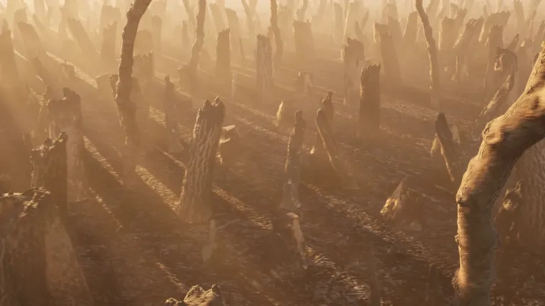 ไฟป่าหนึ่งในผลกระทบจากภาวะโลกเดือด