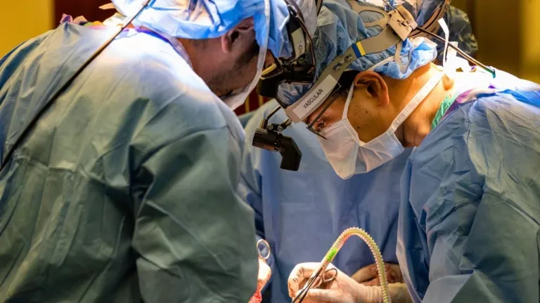 ทีมแพทย์กำลังผ่าตัดปอดผู้ป่วย ภาพจาก Northwestern Medicine