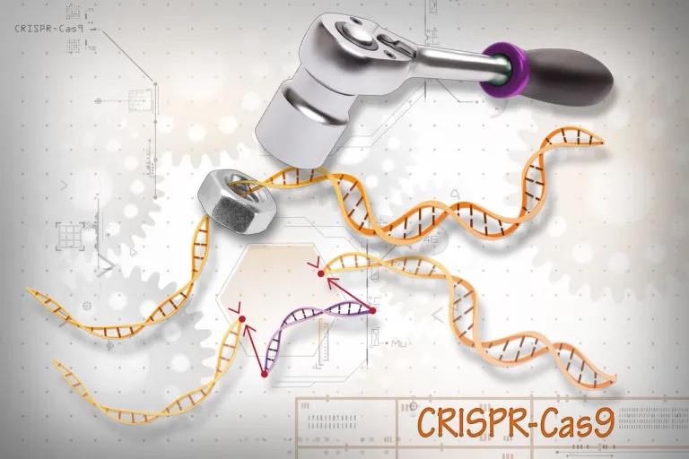 เทคนิคการตัดต่อพันธุกรรม CRISPR-Cas9 ภาพจาก National Institutes of Health