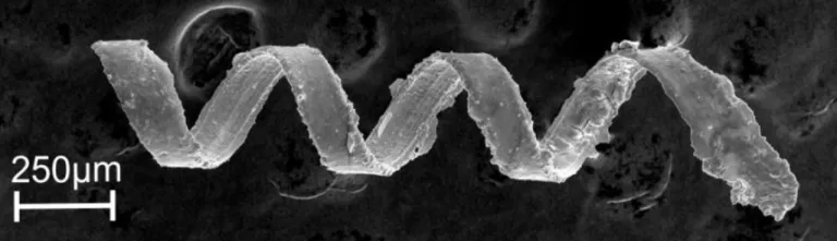 Magnetic Helical Microswimmers : Advanced engineering materials