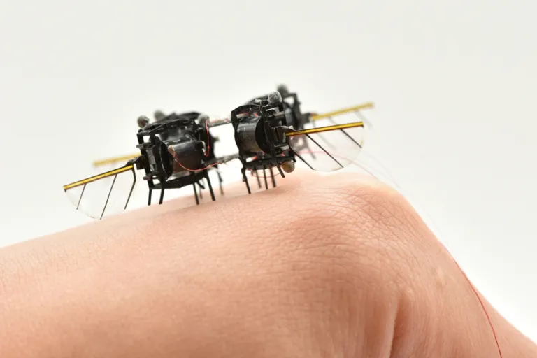 ภาพถ่ายของหุ่นยนต์ MicroRobot ขนาดเล็กจิ็วคล้ายแมลงของ MIT ภาพจาก MIT