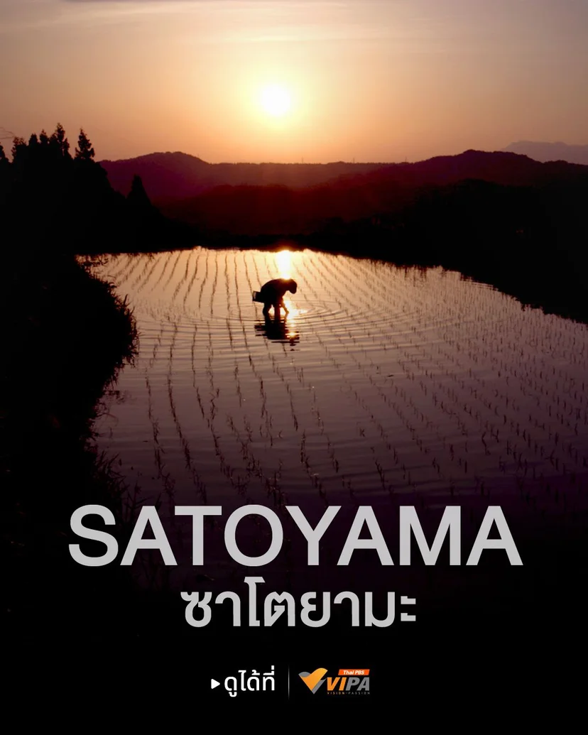ภาพจากสารคดี Satoyama ทาง VIPA