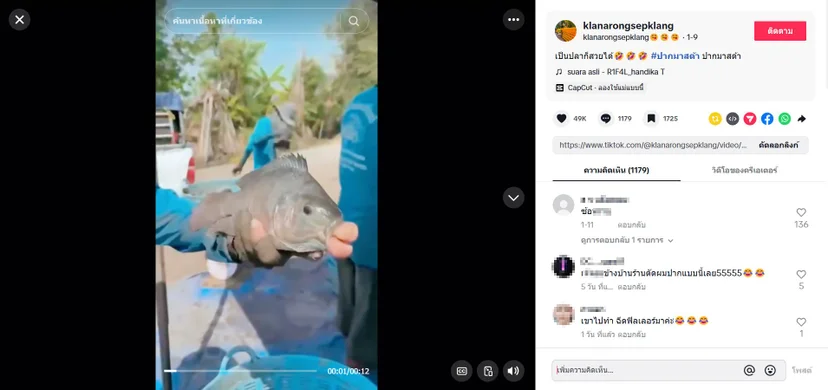 ภาพบันทึกหน้าจอแสดงโพสต์คลิปปลามีริมฝีปากคล้ายมนุษย์จากบัญชี TikTok "klanarongsepklang"