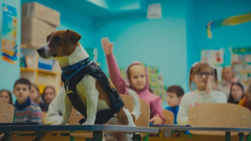 ภาพจากสารคดี US, Our Pets and The War
