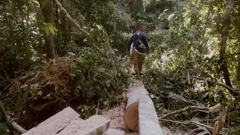 ภาพจากสารคดี Delikado
