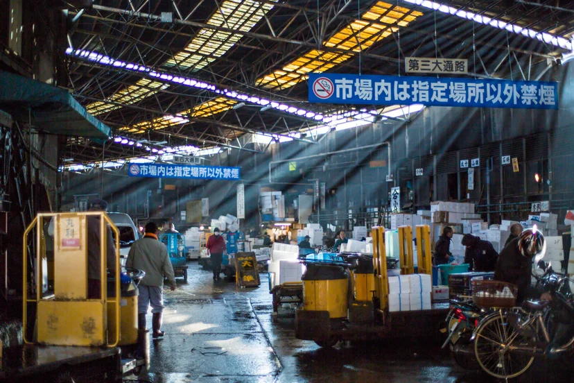 ตลาดปลาสึคิจิ (Tsukiji Fish Market)