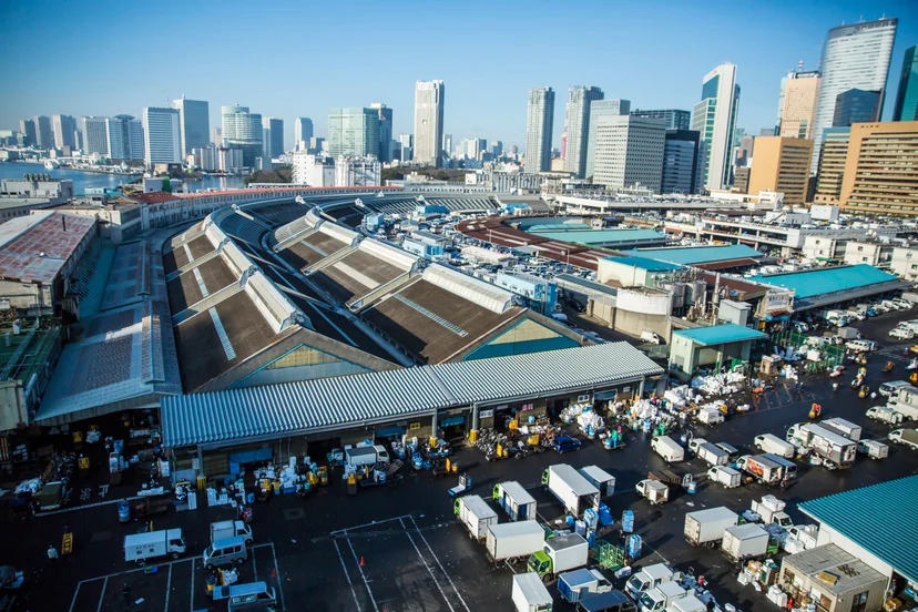 ตลาดปลาสึคิจิ (Tsukiji Fish Market)