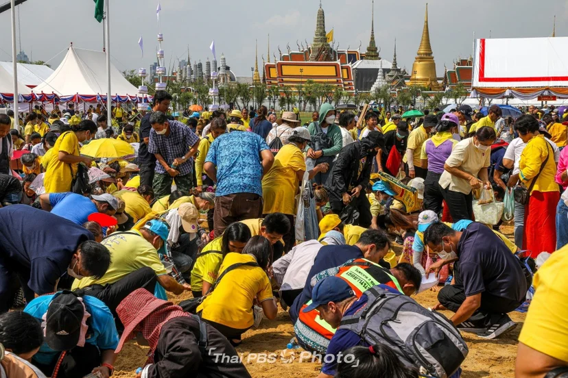ภาพประชาชนเก็บเมล็ดพันธุ์ พิธีพืชมงคลจรดพระนังคัลแรกนาขวัญ