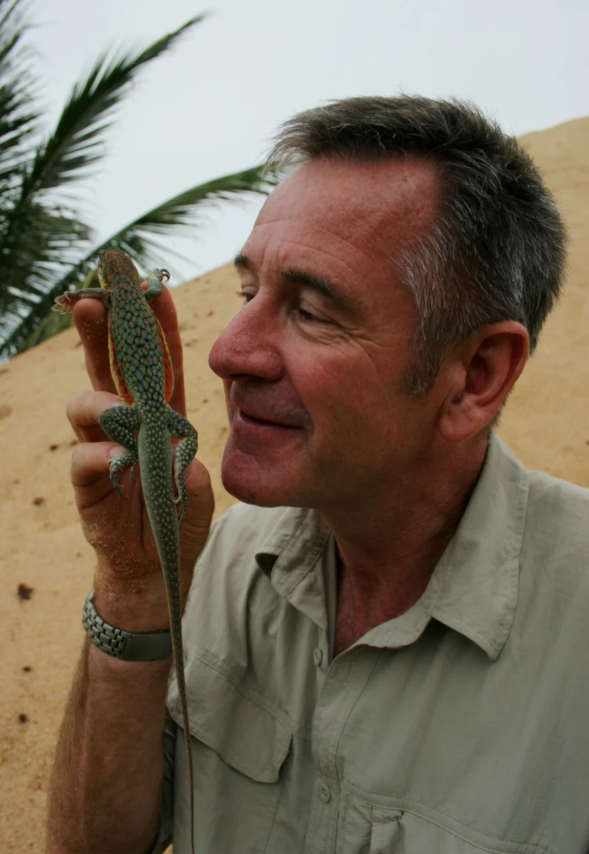 ไนเจลกับแย้เส้น (Nigel with Butterfly lizard) 