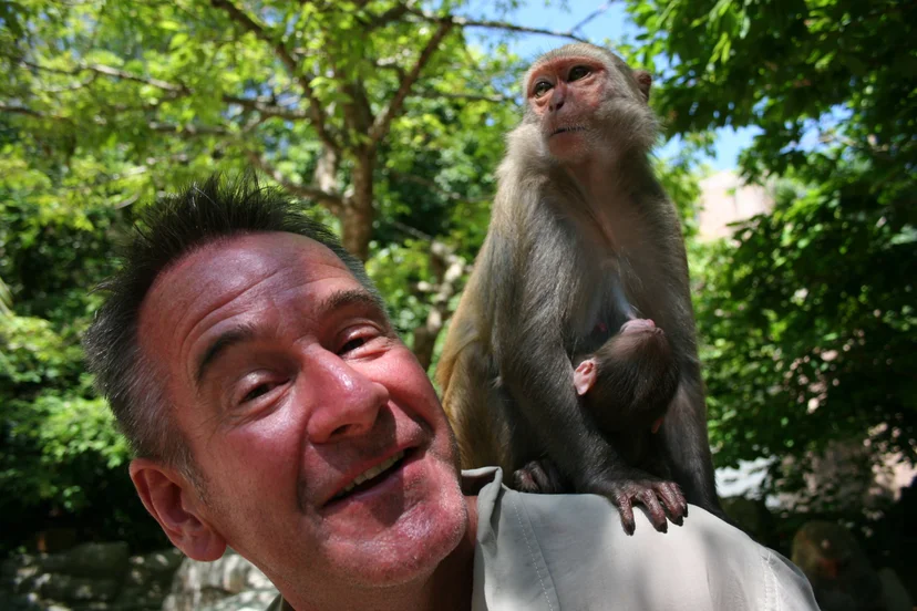 ไนเจลกับลิงวอก (Nigel with Rhesus macaque)