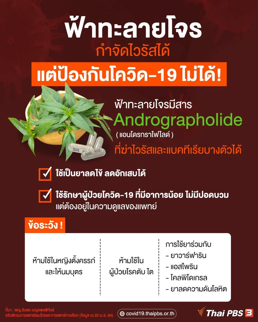 ฟ้าทะลายโจรไม่ได้ป้องกันโควิด-19