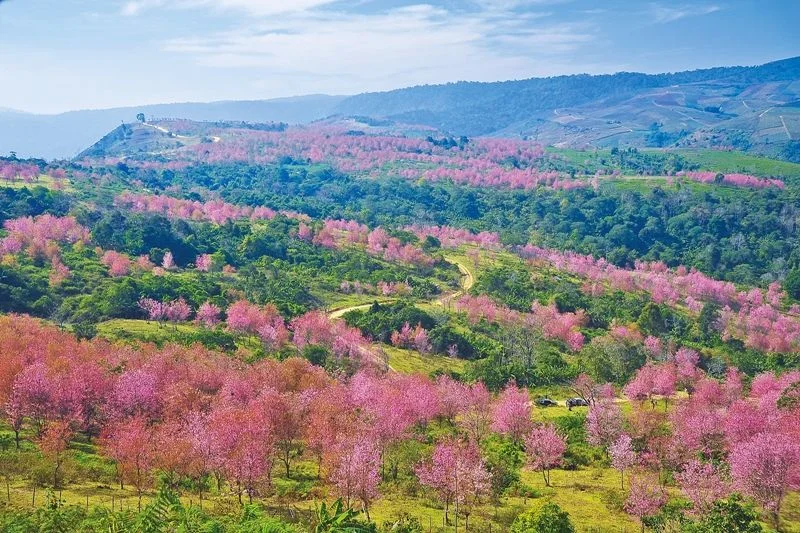 ภูลมโล (ภาพจากการท่องเที่ยวแห่งประเทศไทย)