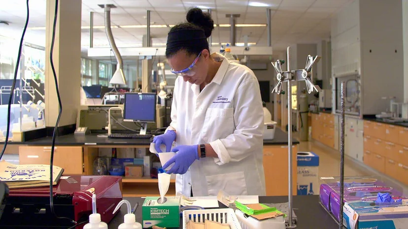 ภาพบางส่วนจากสารคดี Picture a Scientist 
